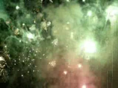 Les vendanges de Montmartre 2008