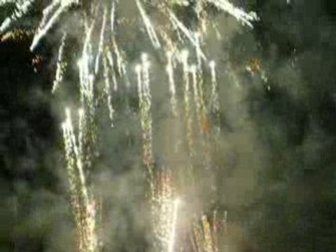 Les vendanges de Montmartre 2008