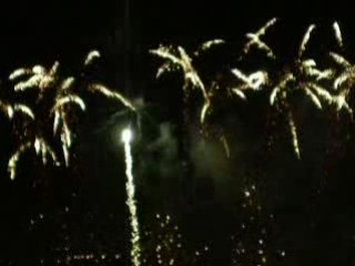 Les vendanges de Montmartre 2008