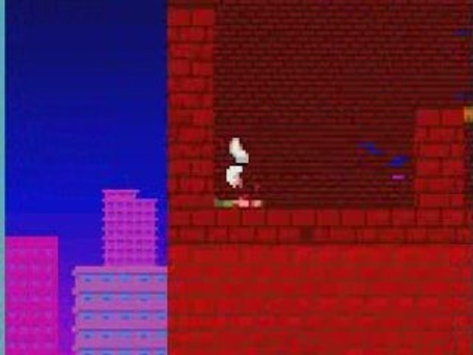 Judo commando - 17.450