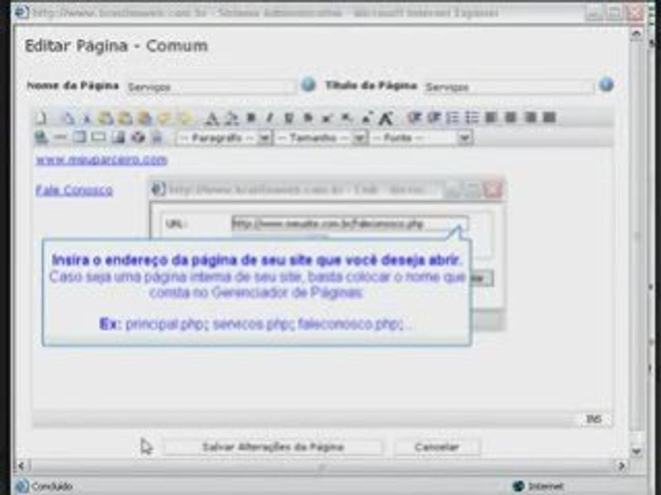 Como Inserir Links Em Seu Site No Painel Bnw
