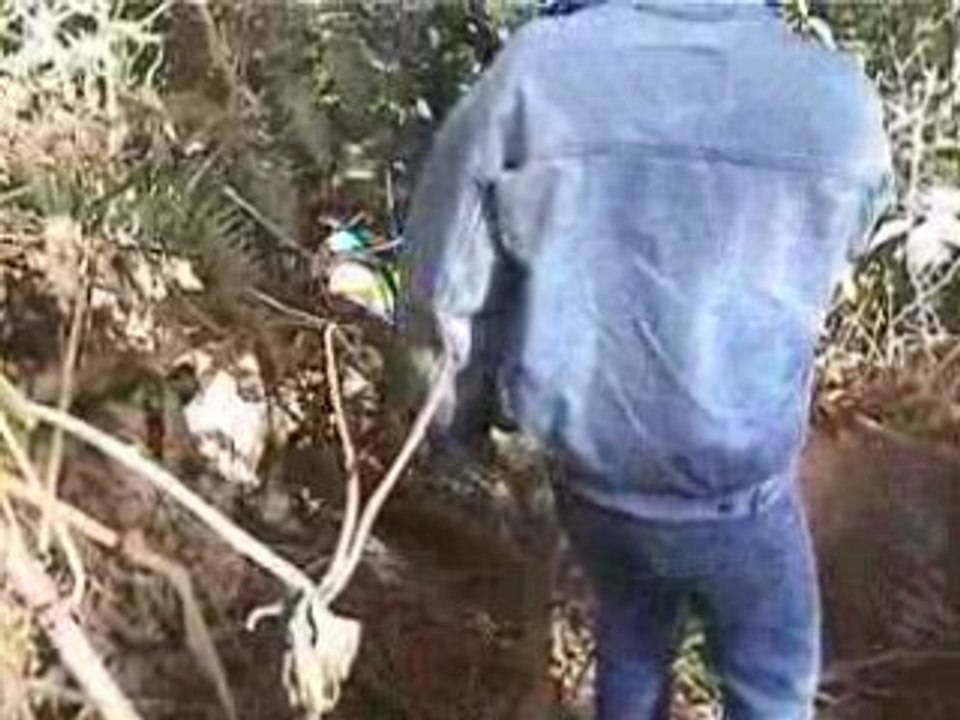 Coupe de la Réunion de VTT descente 2001 ou 2002 au Maïdo