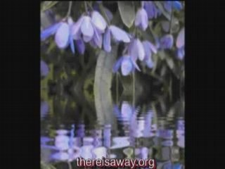 EFT & Ho'oponopono the way to eliminate fear stress