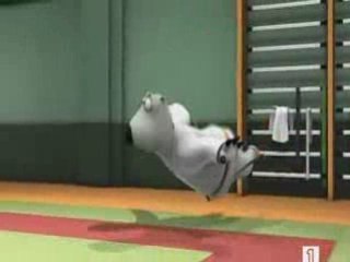 El oso Berni Judo