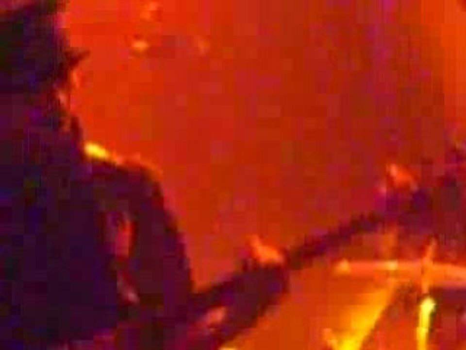 C0nfusi0ns Printanières (2) - BB Brunes (29.10.08)