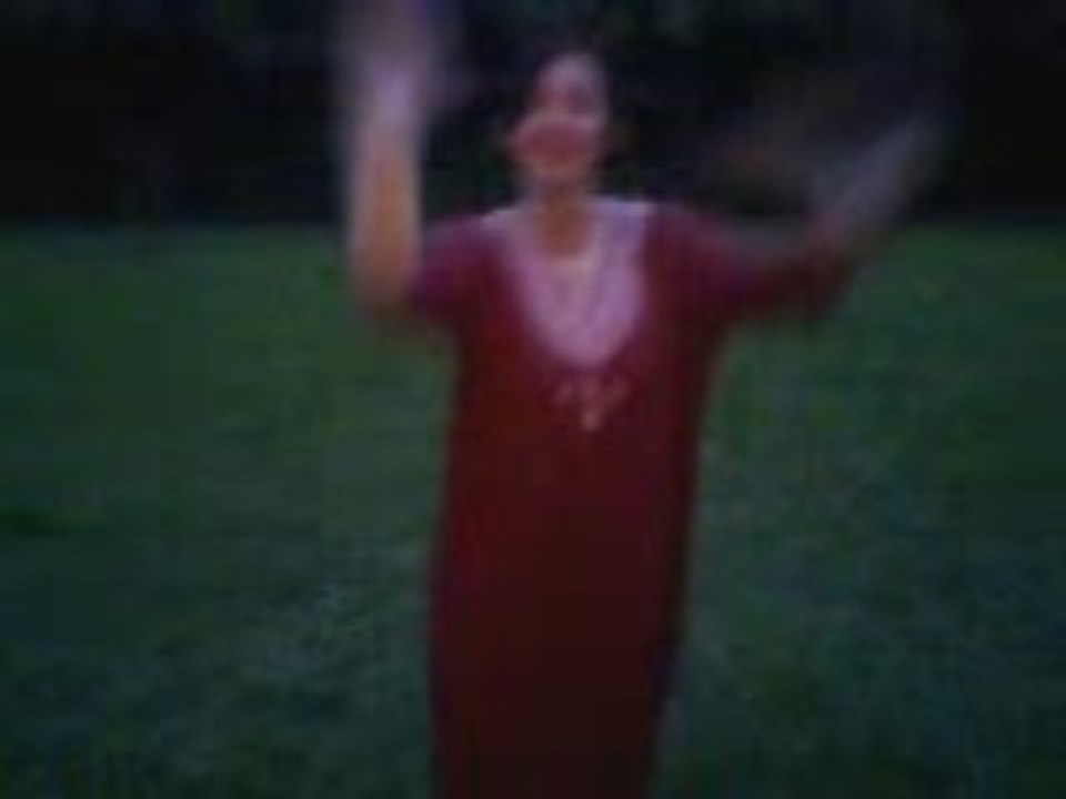 petite maison dans la prairie2