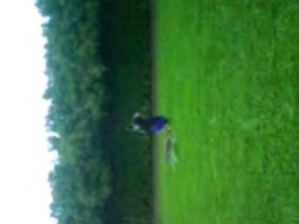 petite maison dans la prairie3