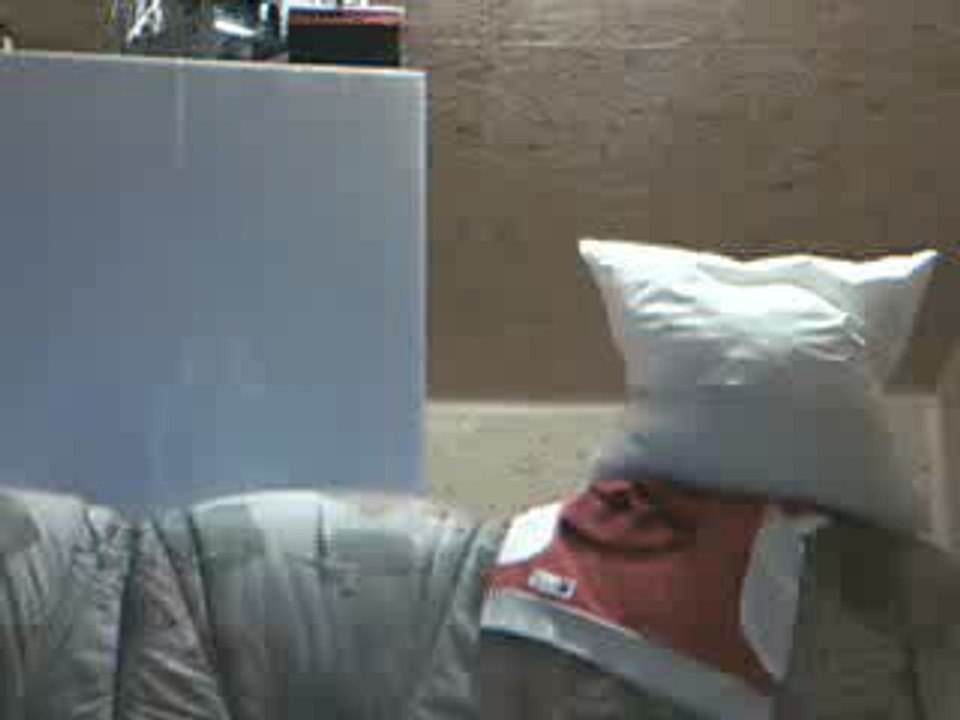 le pouching-ball de charlie