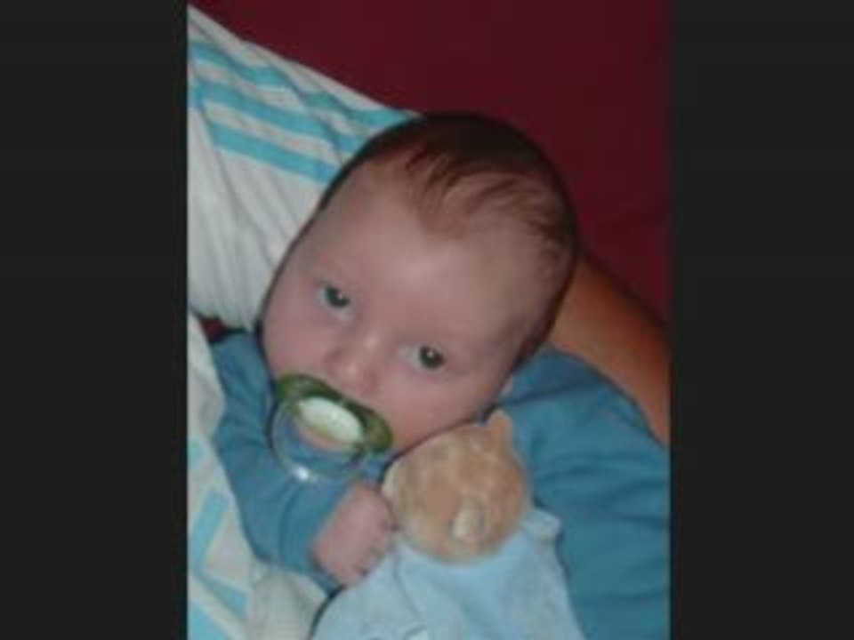 Video crevette 2_0001