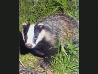 Désolé pour hier soir