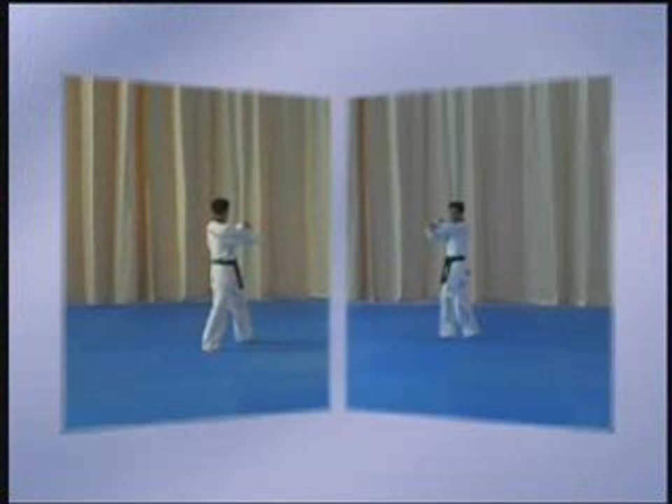 3 EME POOMSE - Taegeug samjang