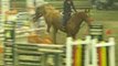 Week van het paard+TEAMCONTEST 017