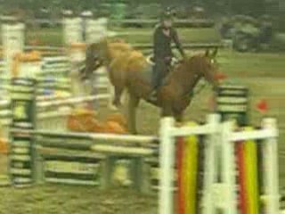 Week van het paard+TEAMCONTEST 017