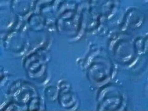 KITTY SOLARIS - 'CHANGING CARDS'