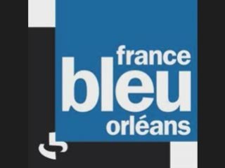 Michel Ricoud - Expulsions - France Bleu Orléans 31/10/08