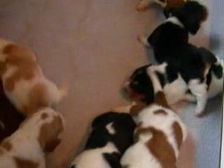 on est en pleine forme