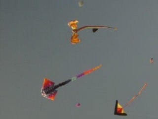 CERF VOLANTS A FREJUS