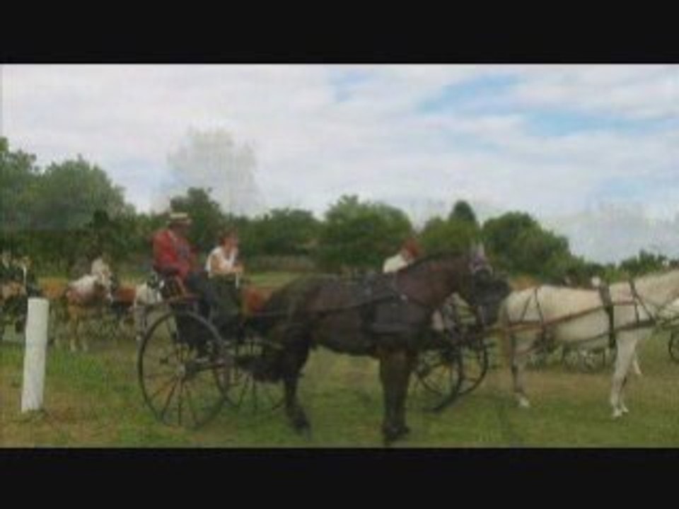 Attelage fichier video_NEW_NEW