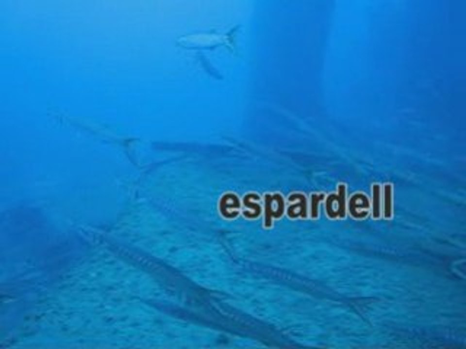 plongée sur Espardell Ibiza 2007