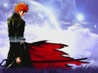 Bleach diapo