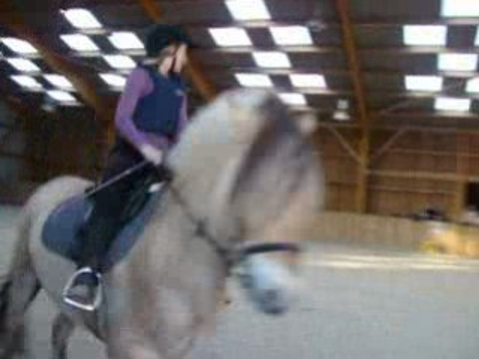 Baloo et moi au galop
