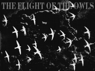 Owls 23 : The flight of the owls
