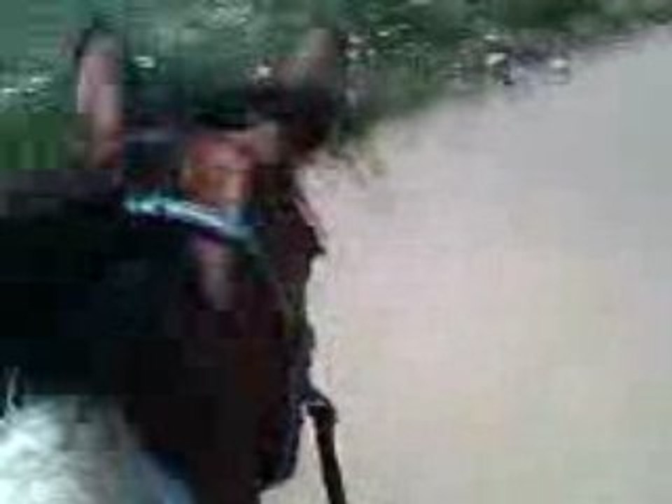 Trot avec judith a cru en licol