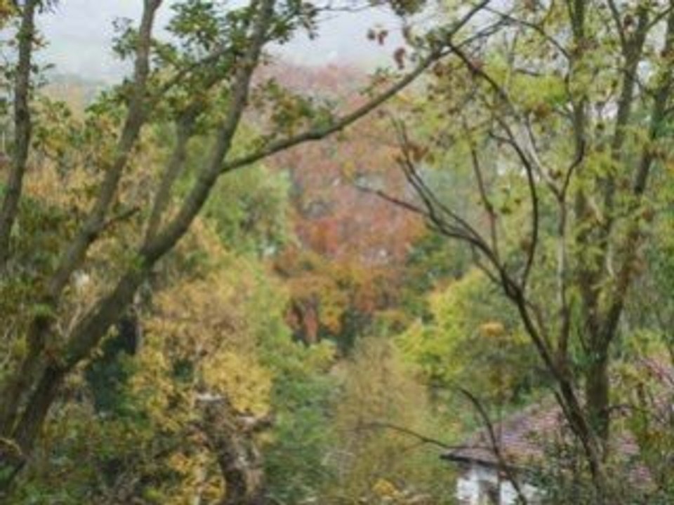 November walk