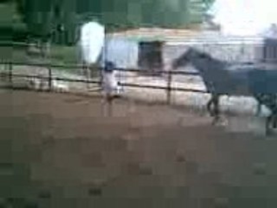 Moi et Claire au centre équestre 4