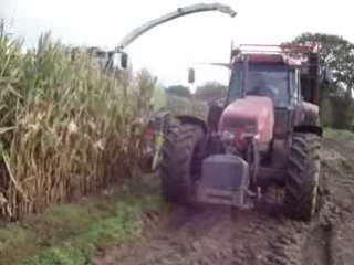 ensilage 2008 class 890