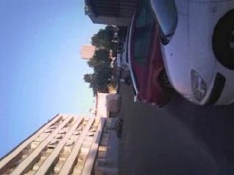 Raptor enervé dans la cité 2