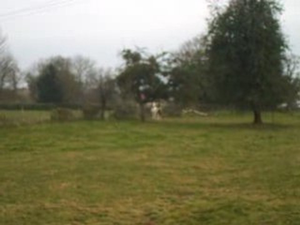 Quarisma et flicka