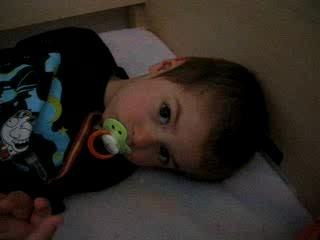 Photo 033