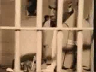 Lakey The Kidd Feat. Tupac - Animal