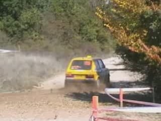 Choquet cardabelles 2008 es 1