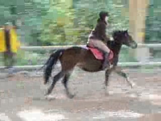 Obstacle Hérani & Moi 31.10.08