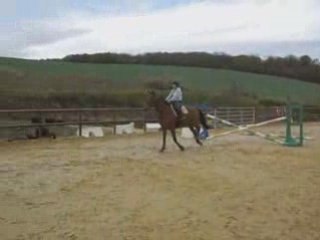 Séance obstacle avec Sandrine et Miss 2