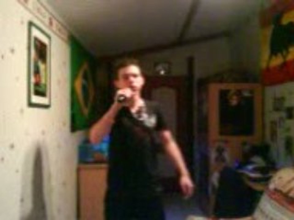 Le chanteur