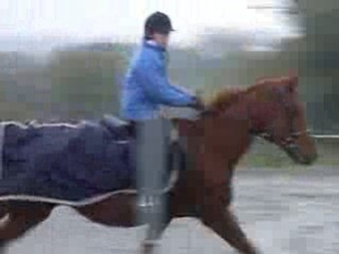 Ollavanfo d'Yff séance saut