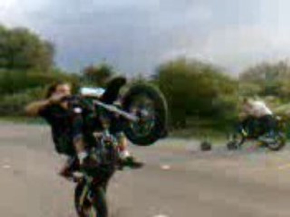 stuntshine