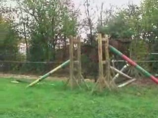 Les Faols dans le rond de saut 2008