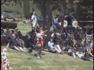 Festival Galop Romain Eauze - Rapaces divers