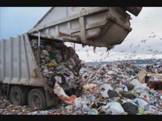 I Am Sustainability: How the Human Body can Change the ...