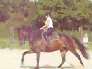 reprise galop 5