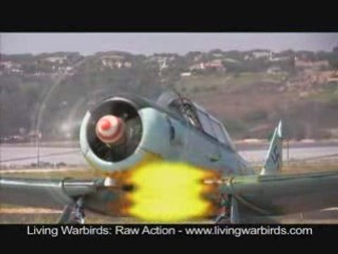 North American AT-6B - Living Warbirds: Raw Action