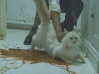 Surprising diner / Dinner surprise - credit crunch mortgage