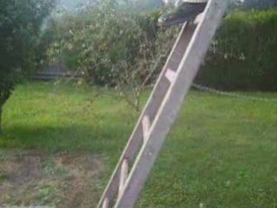 catch amateur brother