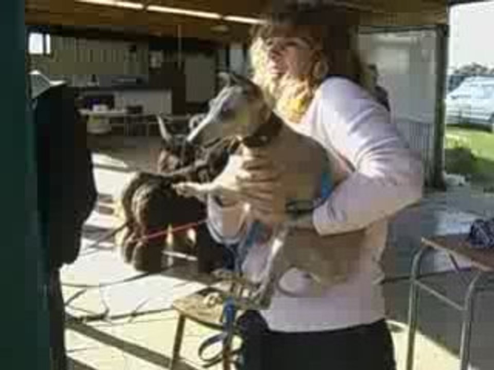 Vanille et le leurre