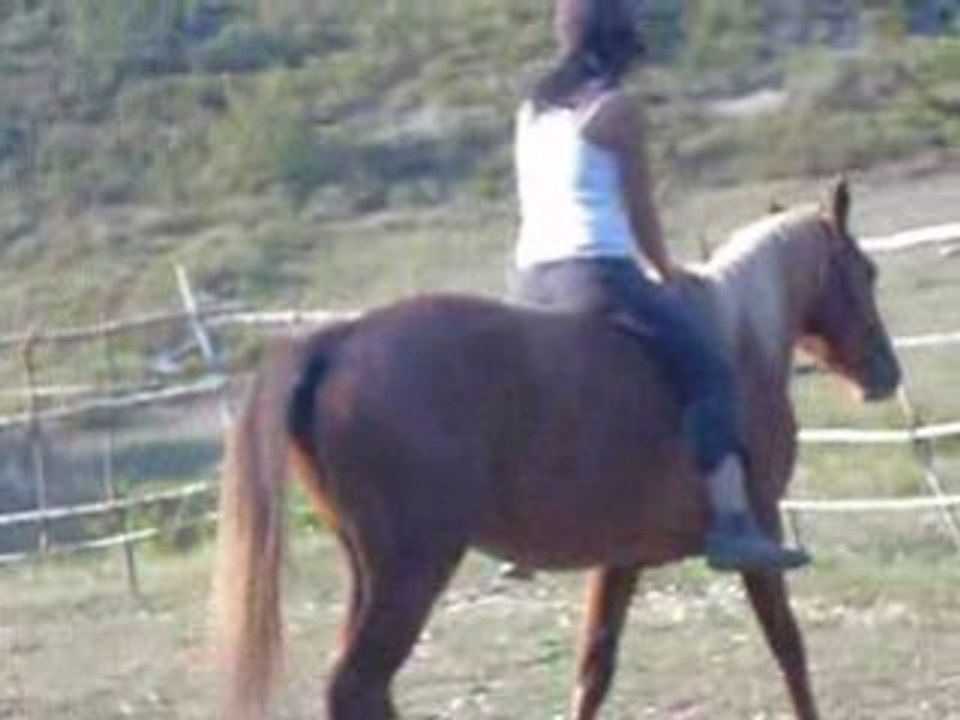 Qpidon marche avec moi