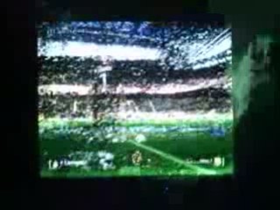 Bug screen